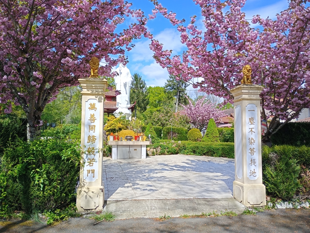   1ère SORTIE VELO "SENIORS" REUSSIE !